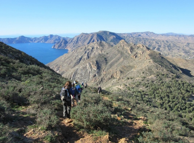  contemplate the fascinating nature